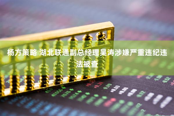杨方策略 湖北联通副总经理吴涛涉嫌严重违纪违法被查