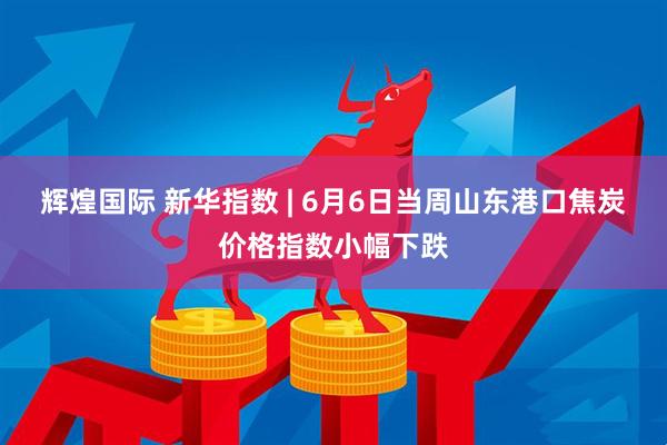 辉煌国际 新华指数 | 6月6日当周山东港口焦炭价格指数小幅下跌