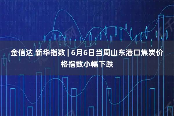 金信达 新华指数 | 6月6日当周山东港口焦炭价格指数小幅下跌