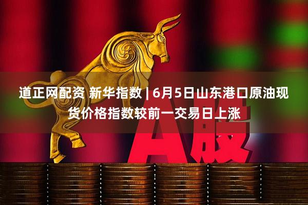 道正网配资 新华指数 | 6月5日山东港口原油现货价格指数较前一交易日上涨