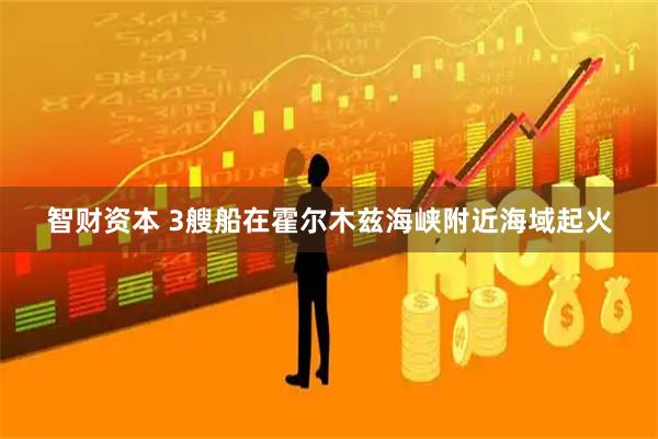 智财资本 3艘船在霍尔木兹海峡附近海域起火