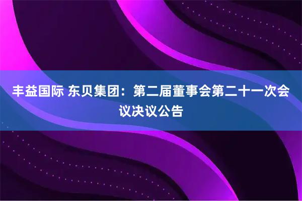 丰益国际 东贝集团：第二届董事会第二十一次会议决议公告