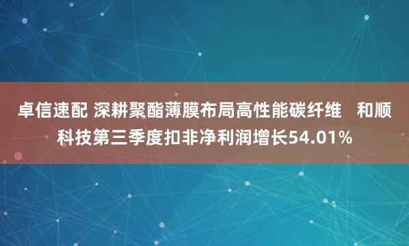 卓信速配 深耕聚酯薄膜布局高性能碳纤维   和顺科技第三季度扣非净利润增长54.01%