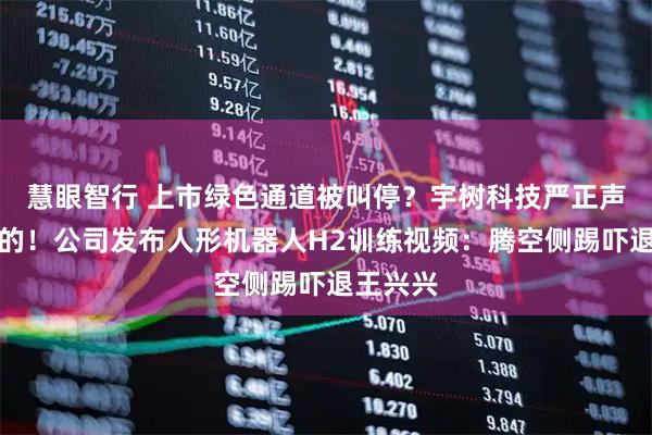 慧眼智行 上市绿色通道被叫停？宇树科技严正声明：假的！公司发布人形机器人H2训练视频：腾空侧踢吓退王兴兴