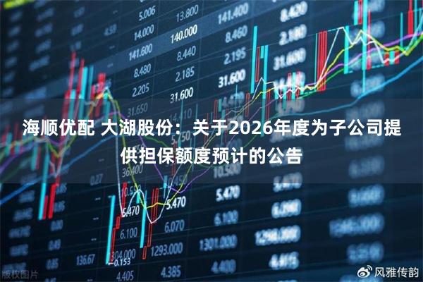 海顺优配 大湖股份：关于2026年度为子公司提供担保额度预计的公告