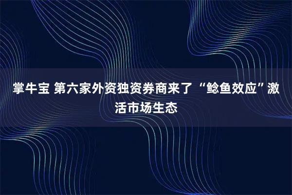 掌牛宝 第六家外资独资券商来了 “鲶鱼效应”激活市场生态